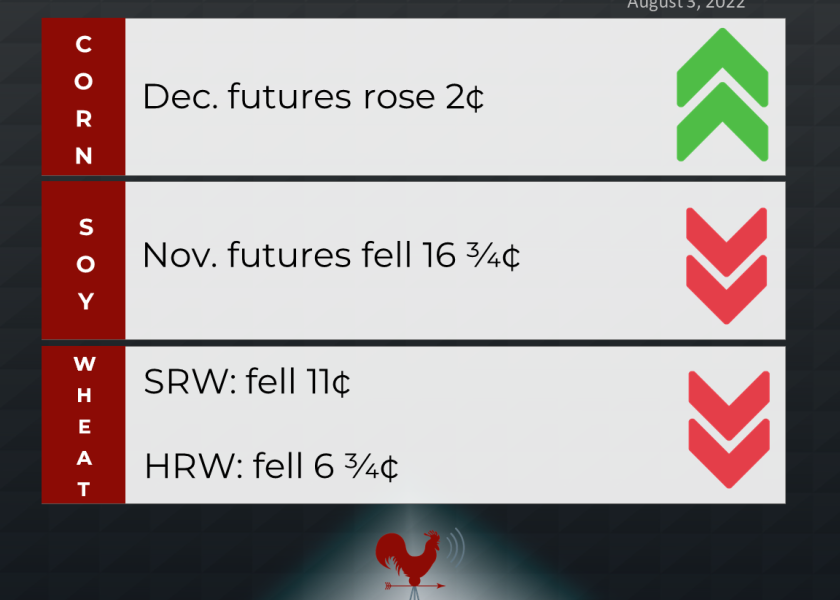 grains recap