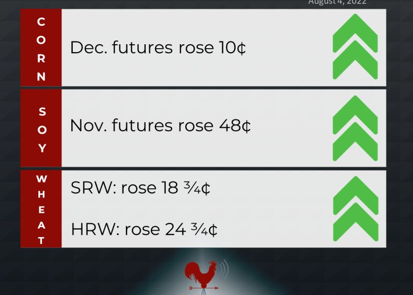 grains recap