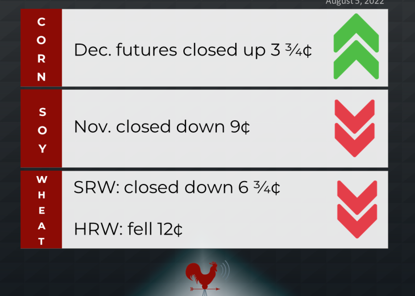 grains recap