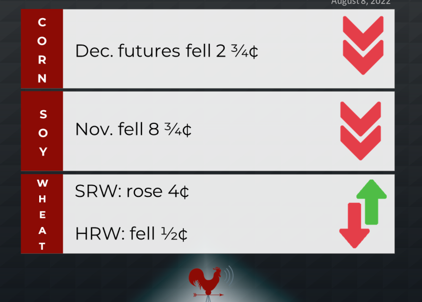 grains recap