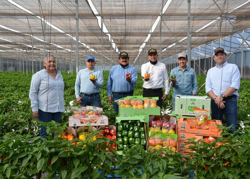 With long-time grower Hortifresh, Divine Flavor has announced its new project of summer organic bell peppers in Jalisco, Mexico. 



