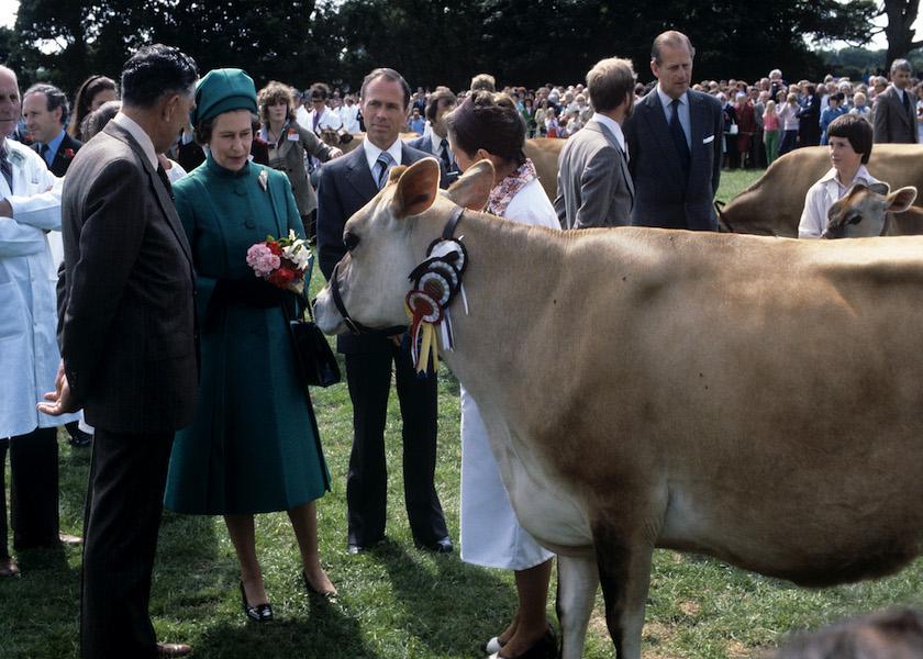 Queen Elizabeth II with a Jersey cow she was presented with at the Country Show at Le Petit Catelet, Saint John, Jersey, as she and the Duke of Edinburgh visited the island of Jersey, Channel Islands. 