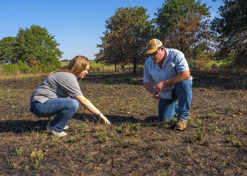 Hannah Baker, left, checks on the forage growth at the Range Research Station with Cooper Sherill.