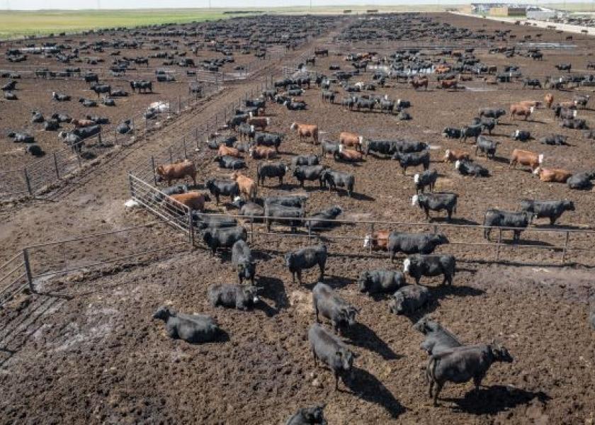 Aerial view of a U.S. feedlot.