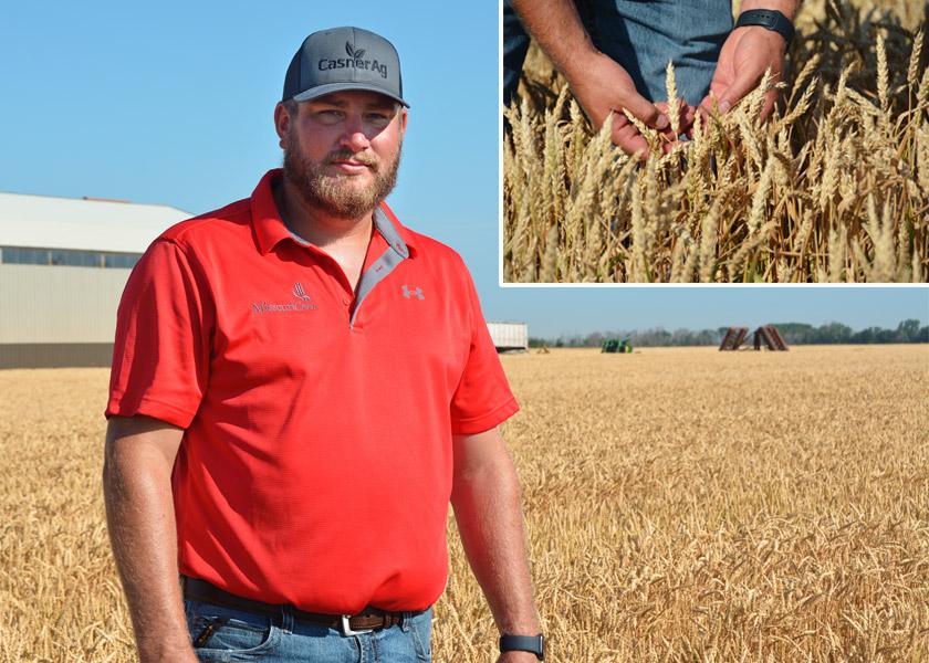 Adam Casner’s winter wheat harvest raked in at 81.2 bu. per acre. “Being new to wheat, I'm happy with it,” he says. 