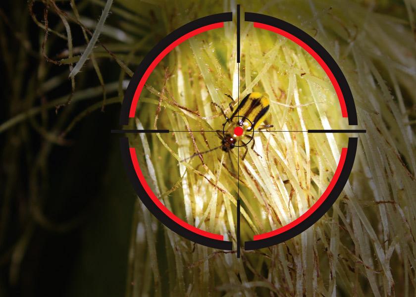 Will U.S. corn growers face corn rootworm CRW pressures in 2023 comparable to what they've experienced in recent years?