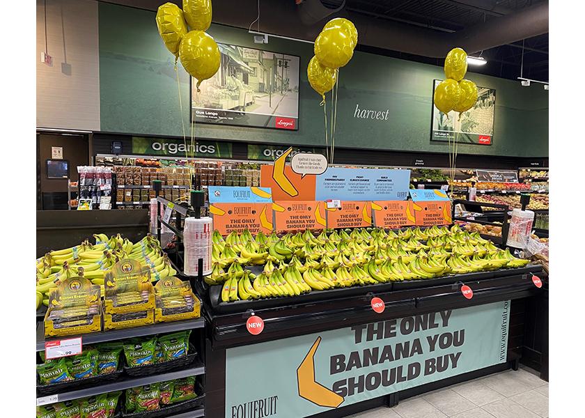 Longo's Equifruit banana display.