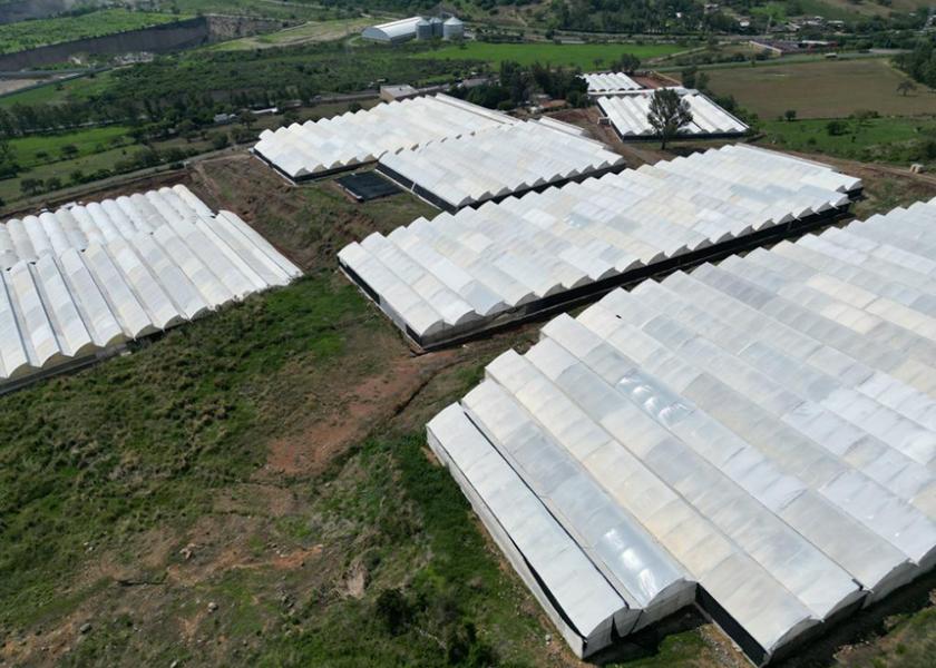 Fresh Farms expands its green bell pepper production to Jalisco, Mexico.