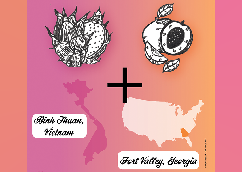 Consumers want dragonfruit from afar but peaches from local farms, the concept behind "glocal": global plus local. How do retailers meet these seemingly conflicting needs?
