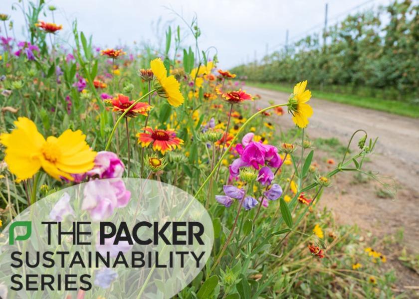 Stemilt has planted over 400 acres of native wildflowers and bee forage to support pollinators.