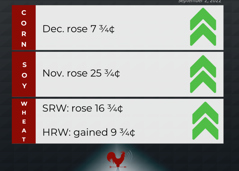 grains recap