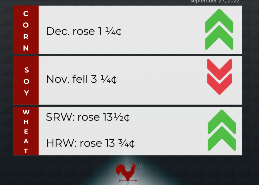 grains recap