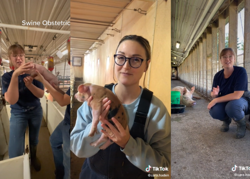 From a pig veterinarian to a social media superstar, Cara Haden, DVM, shares her rise to TikTok stardom and the purpose behind it all.