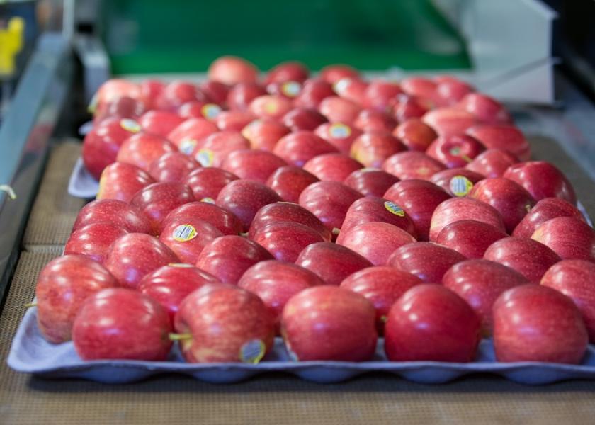 Organic gala apples packed by Stemilt