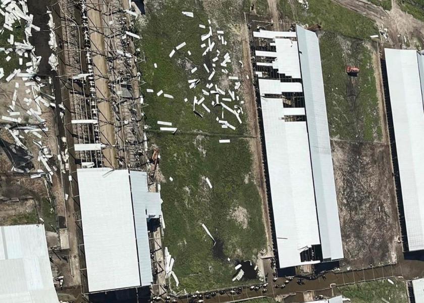 Dakin Dairy Farms lost more than 250 cows after Hurricane Ian battered them with 100-plus mph winds. 