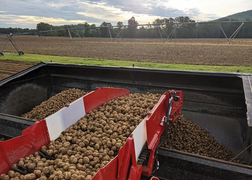 Green Thumb Farms Inc., has been shipping potatoes since the third week of August. “Our early-season round whites looked great,” says Mike Hart, director of sales and marketing. “Quality should be outstanding."