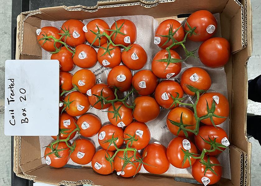 Results from HarvestHold Fresh tomato trial. At the end of the 22-day trial, results showed benefits. 