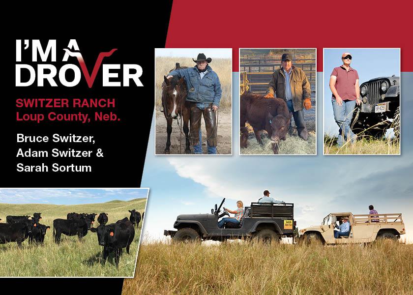 "The goal is to all be here, have the kids here and to keep the ranch going," says Sarah (Switzer) Sortum. Despite challenges, this family ranch has found ways to diversify and enable a future for generations to come.