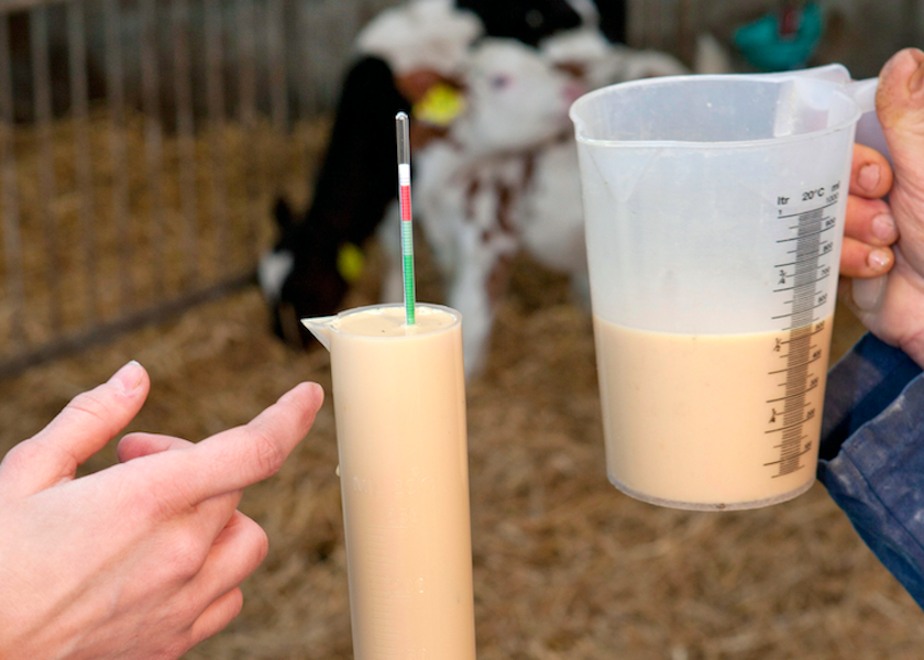 The best-quality colostrum is thick, creamy, and has a beautiful golden color, right? Not necessarily, according to Danish veterinarian and researcher Hanne Skovsgaard Pedersen.