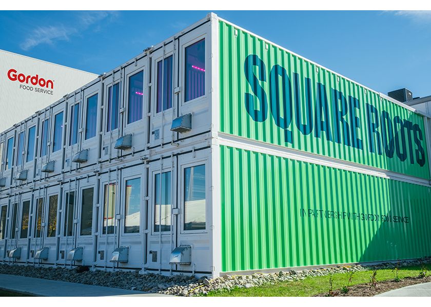 As part of shifting its business model, hydroponic grower Square Roots is pausing production, closing three of its four container farms across the U.S. and laying off staff. 