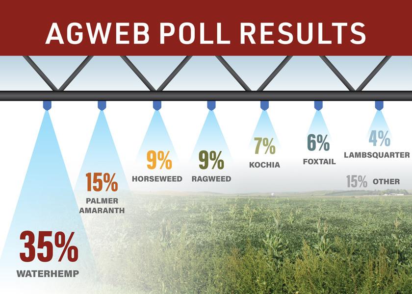 The results are in. Around 400 farmers answered the AgWeb poll of: What Is Your Top Weed Nemesis on Your Farm?