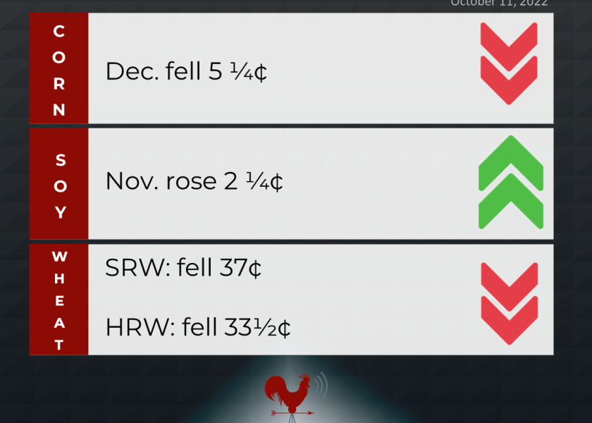 grains recap