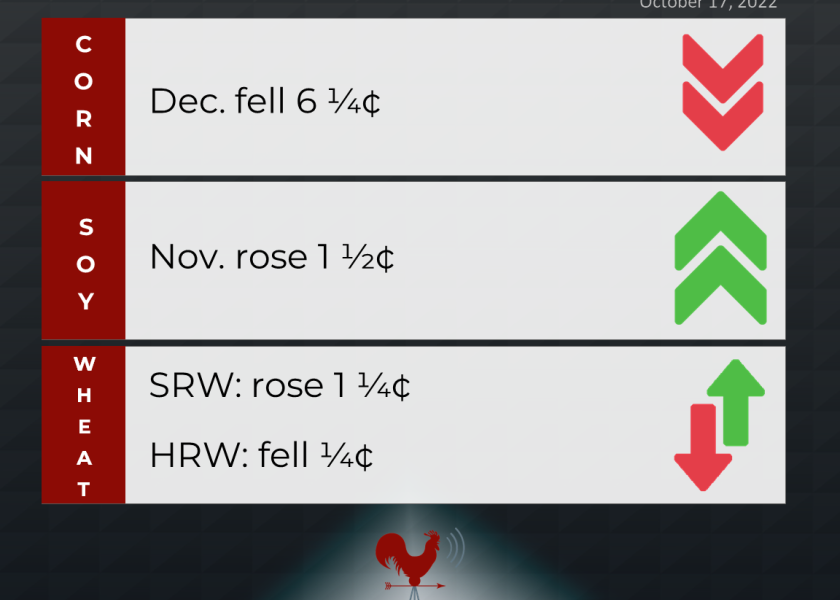 grains recap