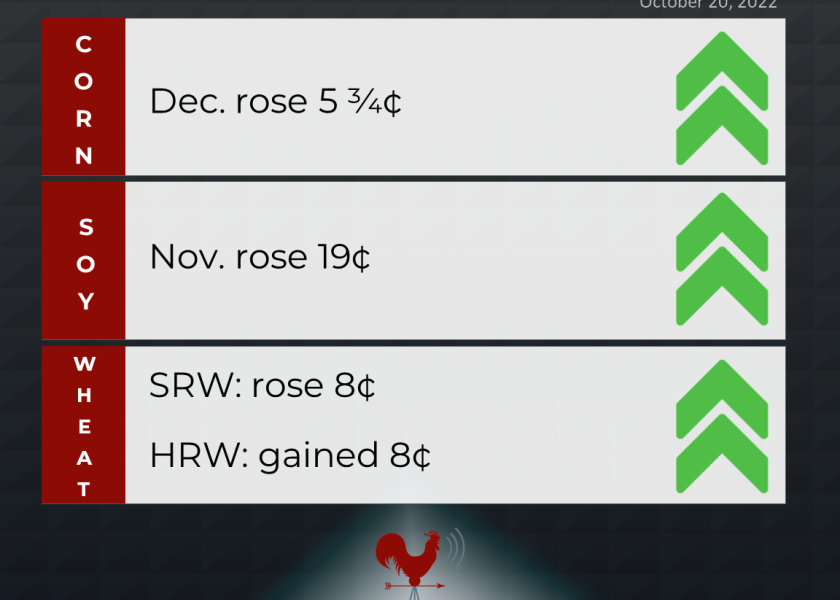 grains recap