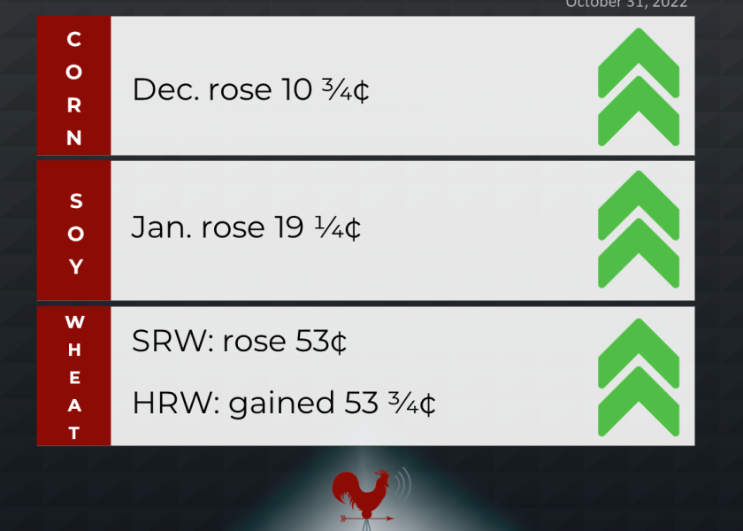 grains recap