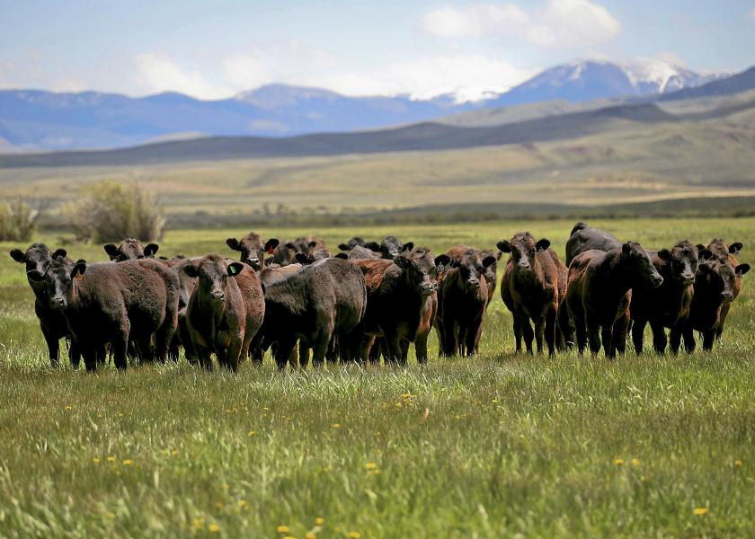 New Law Protects American Farmland and Food Security