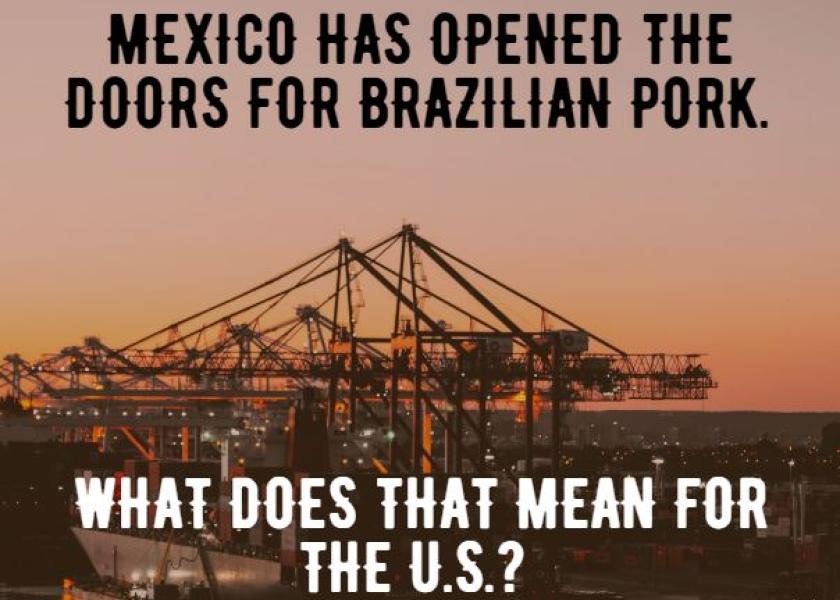 With the announcement of Brazilian pork exports eligible in Mexico, USMEF’s Erin Borror weighs in on how it might affect U.S. exports to the country.