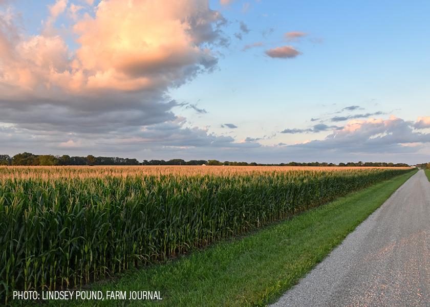 Plains farmland values rise 3% quarterly gain.