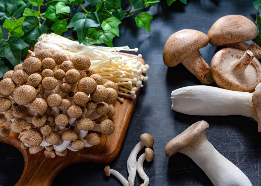 Mushrooms offer health benefits. 