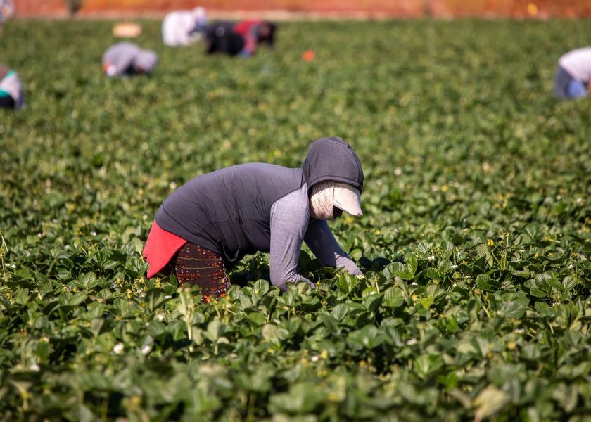 The Florida Fruit and Vegetable Association is calling for a stabilization of ag worker wages.