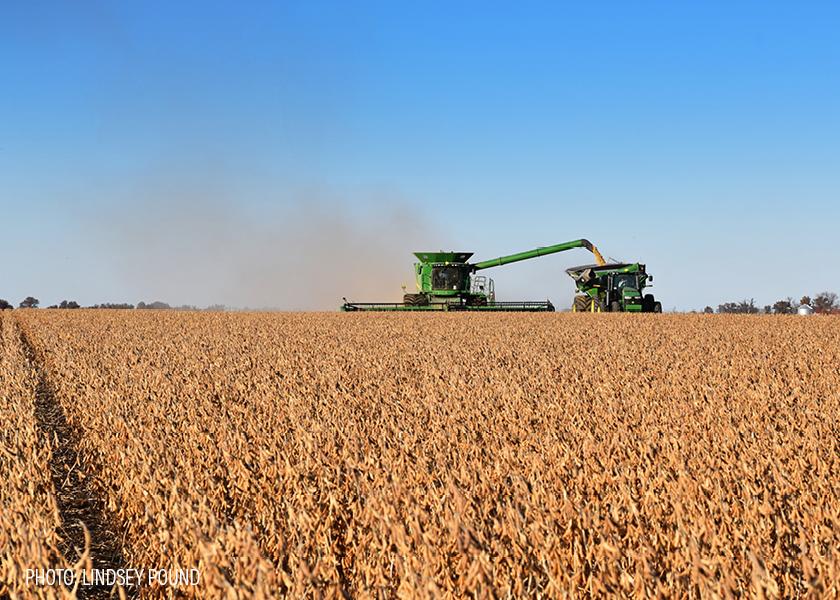 Small crops are no longer getting smaller. In its November round of crop reports, USDA increased both the national corn and soybean yield by 0.4 bu.
