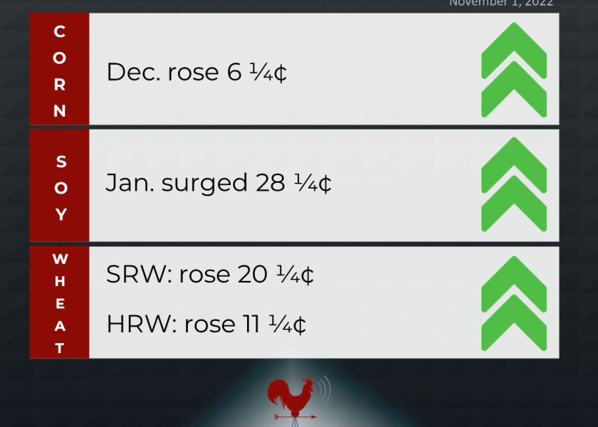 grains recap