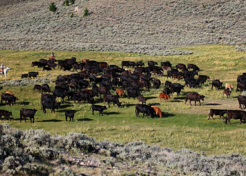 Horse Prairie Ranch, Montana