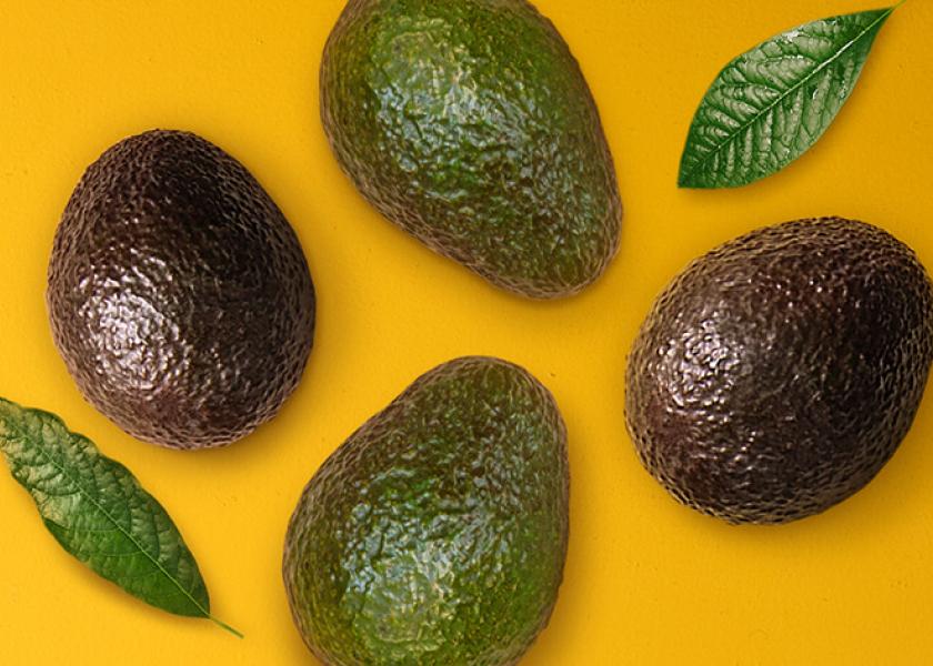 The Hass Avocado Board is slated to host a Dec. 8 webinar on maximizing the peak season for avocado sales.