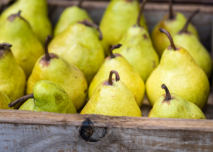 The Packer’s Fresh Trends 2023 survey found that 25% of consumers said they purchased pears in the past year.