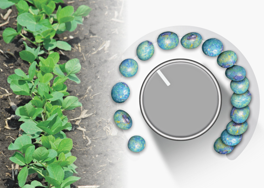 With Soybean Planting Populations, How Low Can You Go?