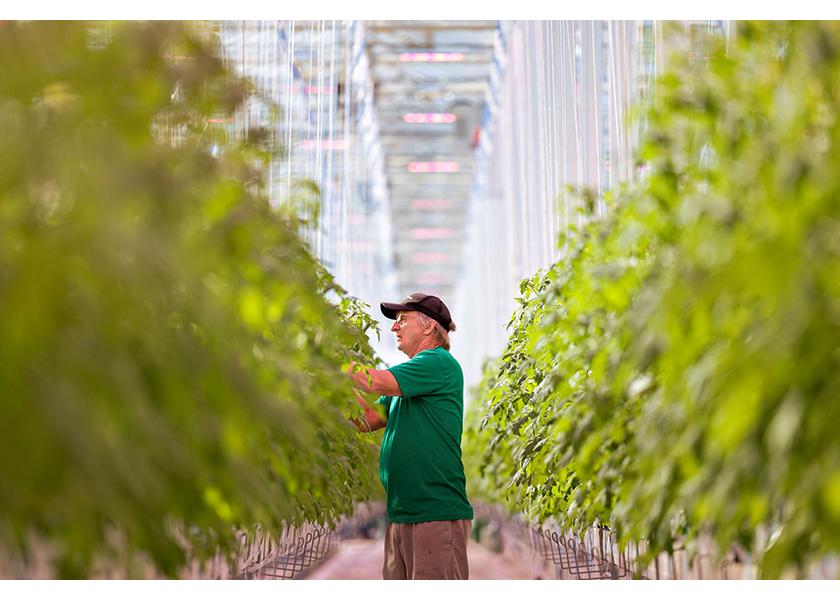 The Kentucky-based greenhouse grower AppHarvest is seeking to reassure stakeholders in a stated response to recent news of creditor and property issues facing several of its farms.