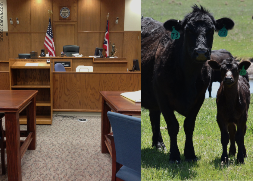 After nearly four years of investigation on a check kiting and fraud scheme, the former owners of Plainville Livestock Commission (PLC) in Rooks County, Kans., have been convicted by federal jury.