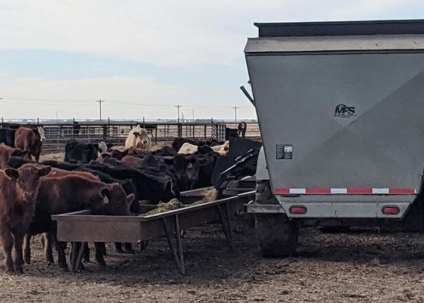 When a significant number of cattle died in less than two hours, a number of questions are raised. Kansas State University experts discuss this toxicology case and the answers that were found.