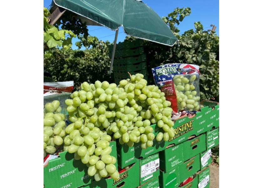 Four Star Fruit has wrapped up its 2022 California grape season and is predicting significant growth in its Peruvian and Chilean imports in 2023.  