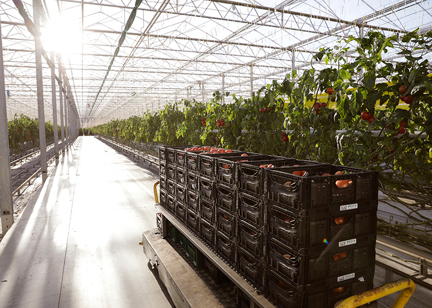 IFCO RPCs are now used in approximately 2 billion shipments of fresh food every year, reducing waste and creating efficiencies throughout the supply chain, according to the company.