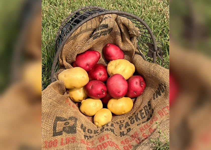 Fob prices for red and yellow potatoes from the Red River Valley in North Dakota and northern Minnesota have been higher this year than last year, according to the USDA. Growers say quality is excellent.