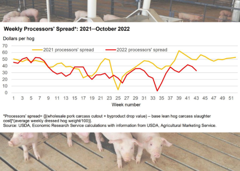 Pork Packers Face Worst Margins Since 2014 on U.S. Hog Shortage