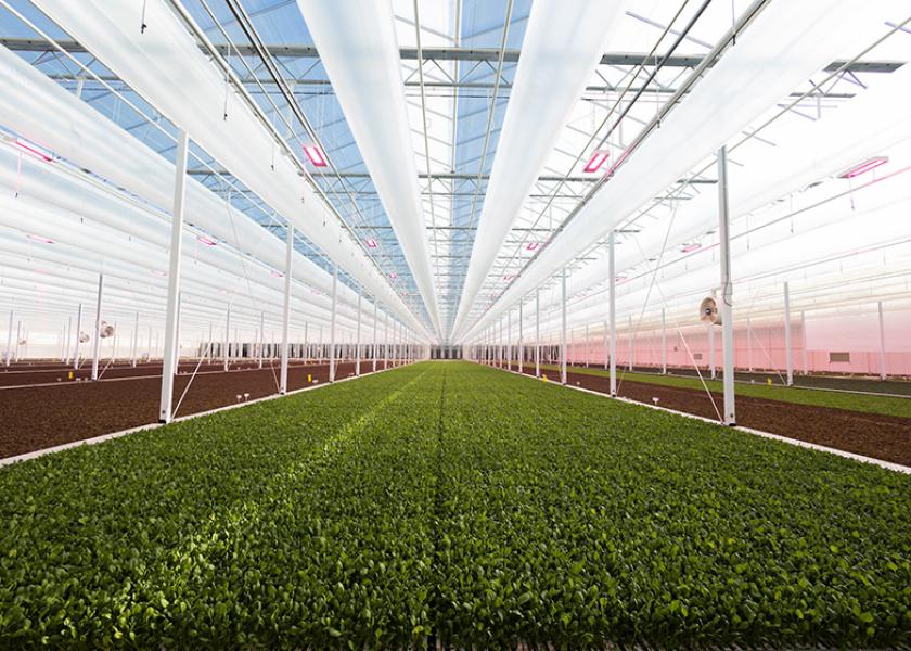 Revol Greens anticipates that adding artificial intelligence technology will help increase crop yield and reduce energy costs, ultimately furthering the company mission to grow lettuce and greens in a more sustainable way that is better for people and the planet.
