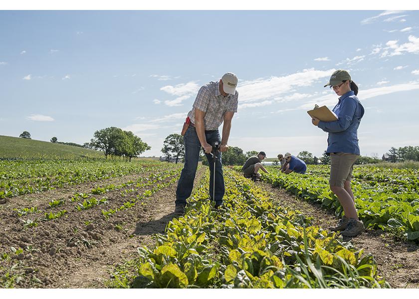 The organic nonprofit was awarded nearly $900,000 by the USDA’s Organic Agriculture Research and Extension Initiative to collaborate in four organic research and education projects. 