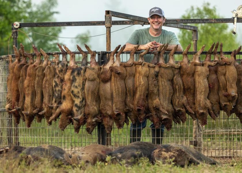 Meet Mississippi's Yawt Yawt, a Wild Pig's Nightmare and Hunting